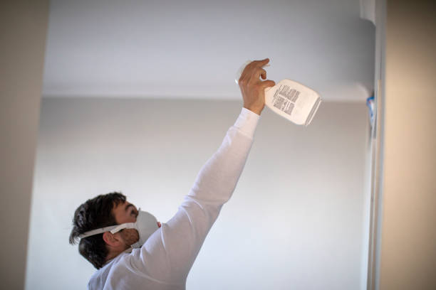 Best Localized Mold Remediation (e.g., coastal areas, humid climates) in Caway, AR